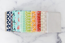 Load image into Gallery viewer, Bonnie and Camille for Moda- OOP Rainbow FQ Bundle 17 FQ included