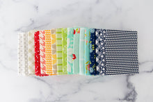 Load image into Gallery viewer, Bonnie and Camille for Moda- OOP Rainbow FQ Bundle 17 FQ included