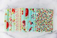 Load image into Gallery viewer, Bonnie and Camille for Moda- OOP Aqua FQ Bundle 12 FQ included