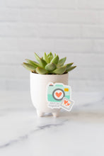 Load image into Gallery viewer, Positive Clicks Camera Vinyl Sticker