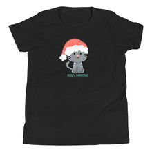 Load image into Gallery viewer, Meowy Christmas YOUTH T-Shirt