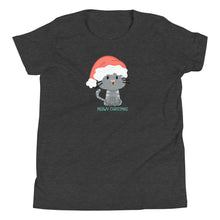 Load image into Gallery viewer, Meowy Christmas YOUTH T-Shirt