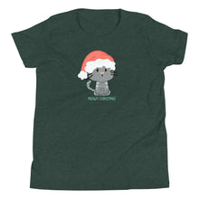 Load image into Gallery viewer, Meowy Christmas YOUTH T-Shirt
