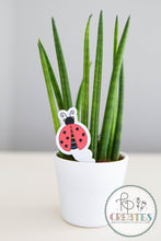 Load image into Gallery viewer, Ladybug Love Vinyl Sticker