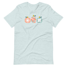 Load image into Gallery viewer, Patchwork Pumpkins T-shirt