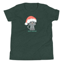 Load image into Gallery viewer, Meowy Christmas YOUTH T-Shirt
